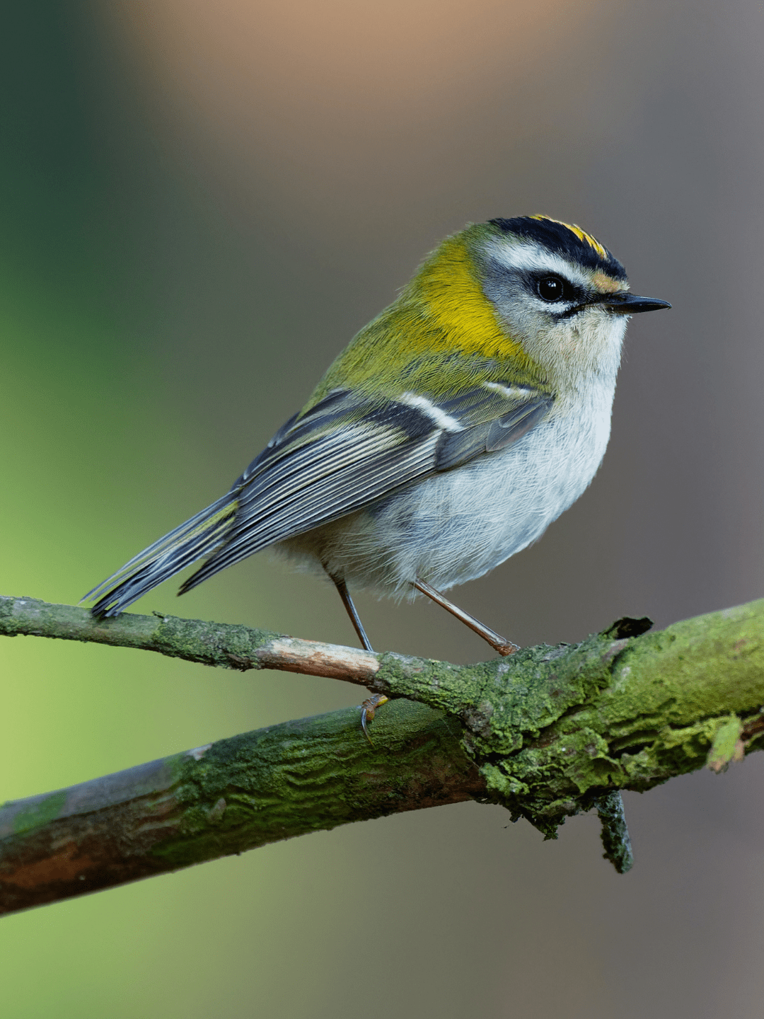 Spain-Travel-Guide-03