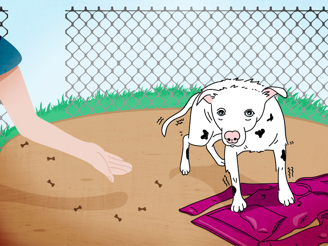 Cuentos4Future. Proyecto de EthicLab Cuentos4Future. Proyecto de EthicLab